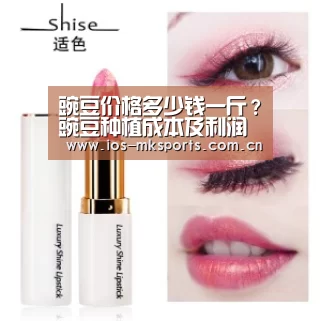 mk体育app