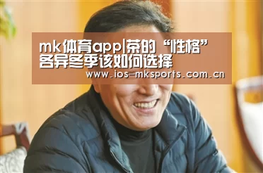 mk体育app|茶的“性格”各异冬季该如何选择(图2) mk体育app