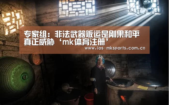 专家组：非法武器贩运是刚果和平真正威胁‘