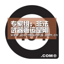 专家组:非法武器贩运是刚果和平真正威胁‘mk体育注册’(图2) mk体育注册