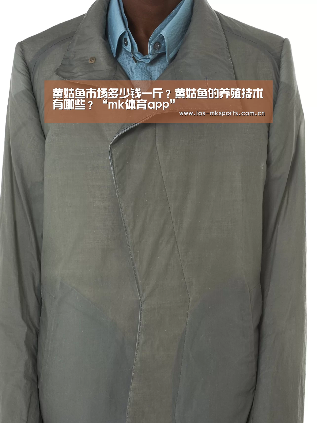 黄姑鱼市场多少钱一斤？黄姑鱼的养殖技术有